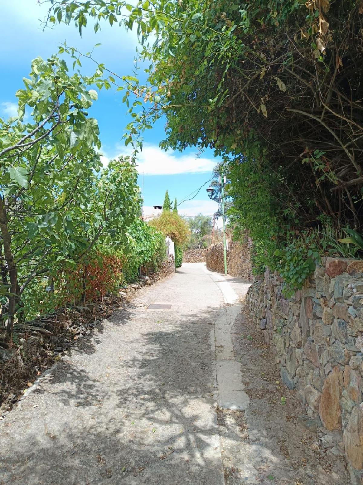 Casa Rural El Olivo Aracena Exterior photo